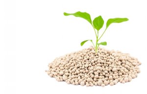 Удобрения и стимуляторы